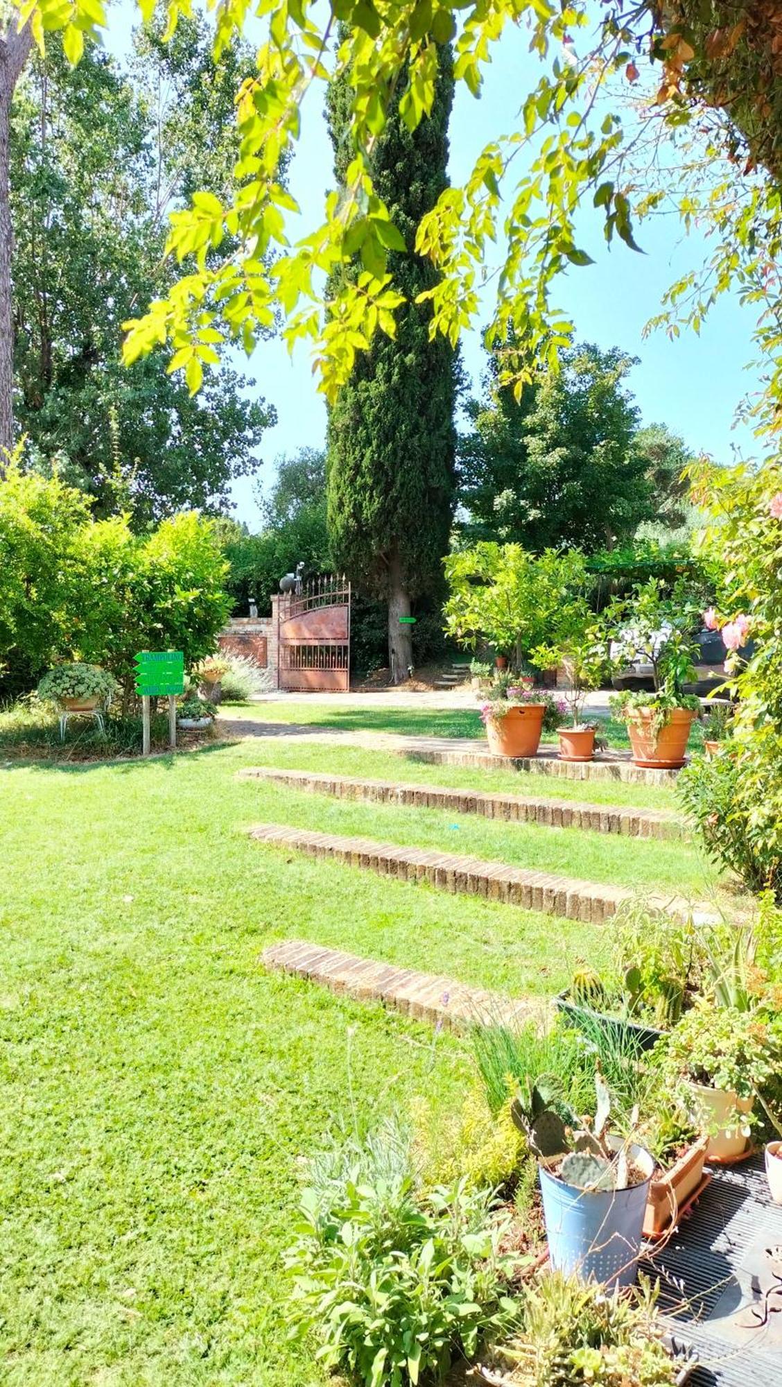 Ca' Dei Gelsi B & B Coriano Exterior photo