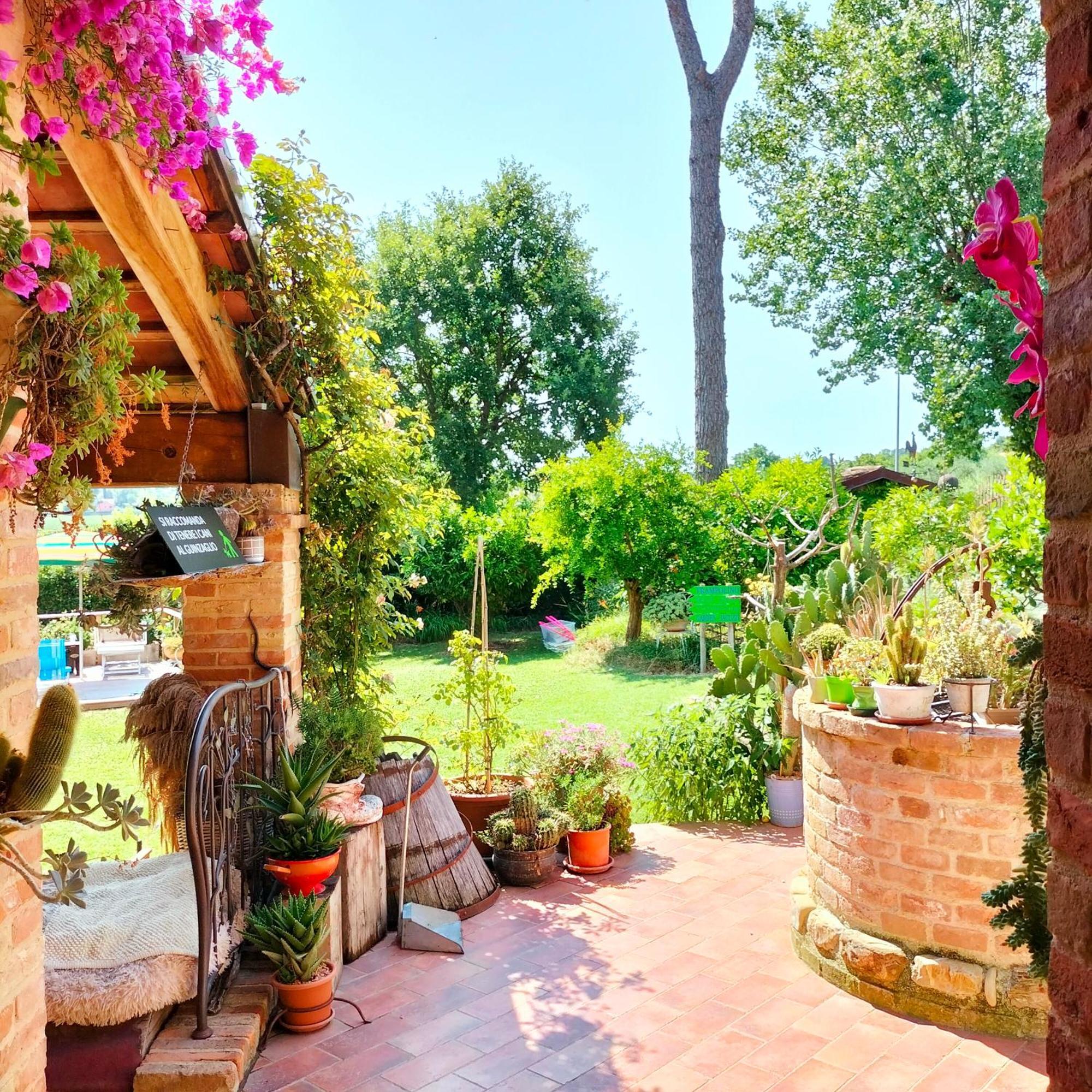 Ca' Dei Gelsi B & B Coriano Exterior photo
