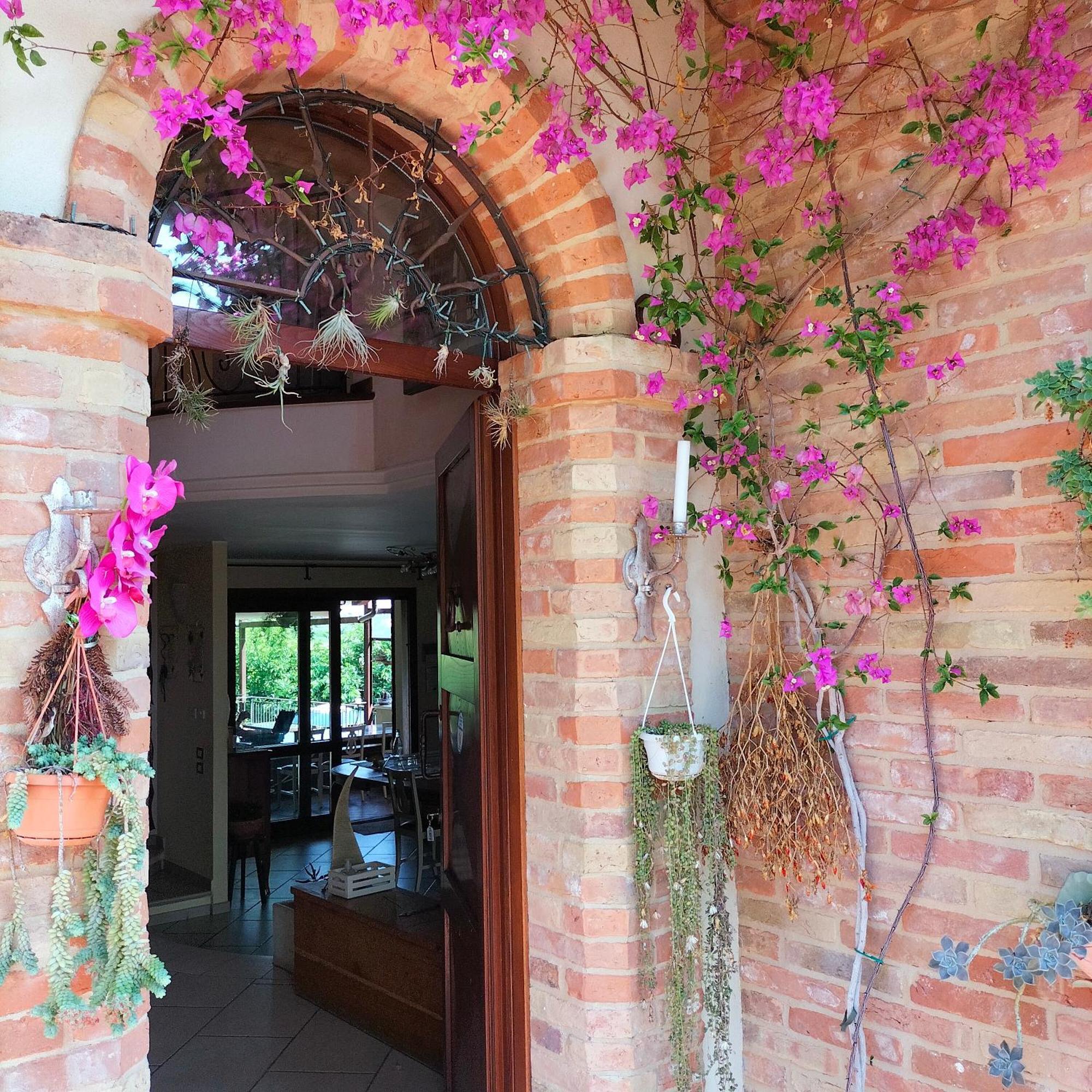 Ca' Dei Gelsi B & B Coriano Exterior photo
